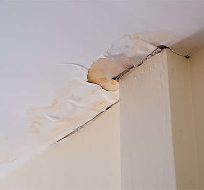 Public Adjusters for Roof Damage