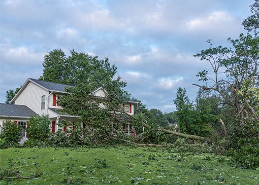 Storm damage