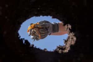Sinkhole Damage