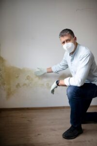 Mold Damage Claims