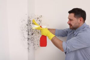 Mold Damage