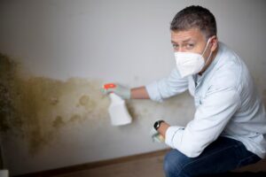Mold Damage