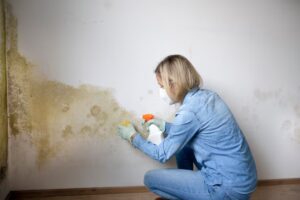 Mold Damage